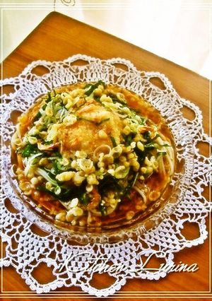 大葉　と　桜えび　の　おろし　うどん-レシピのメイン写真