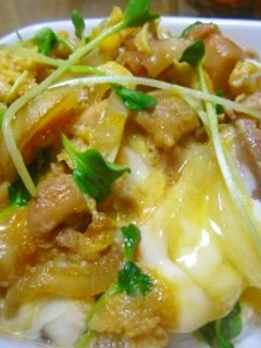 フライパンで親子丼-レシピのメイン写真