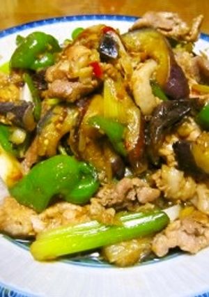 豚肉とナスとピーマンのピリ辛炒め-レシピのメイン写真
