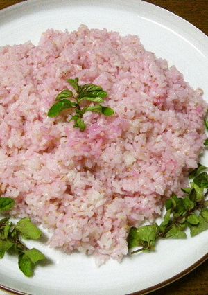 梅酢の寿司飯-レシピのメイン写真