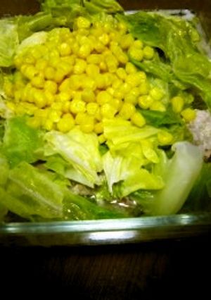 キャベツと豚バラ肉の重ねレンジ蒸し-レシピのメイン写真
