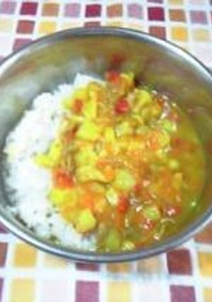 わんわんカレーライス（ワンコ用）-レシピのメイン写真