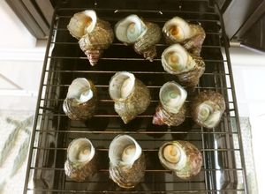 楽ちん！魚焼きグリルで『さざえの壷焼き』-レシピのメイン写真