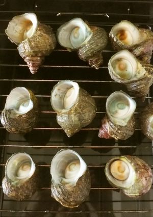 楽ちん！魚焼きグリルで『さざえの壷焼き』-レシピのメイン写真