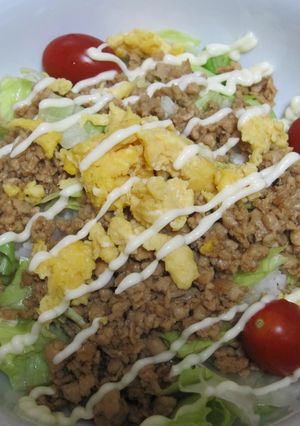 鶏のさっぱり煮→→→さっぱり♪鶏そぼろ丼-レシピのメイン写真