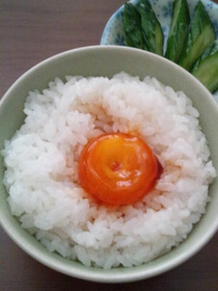 卵黄の醤油漬け 卵かけご飯に-レシピのメイン写真