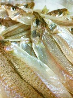 魚の干物-レシピのメイン写真