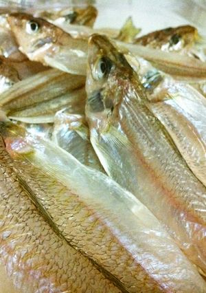 魚の干物-レシピのメイン写真