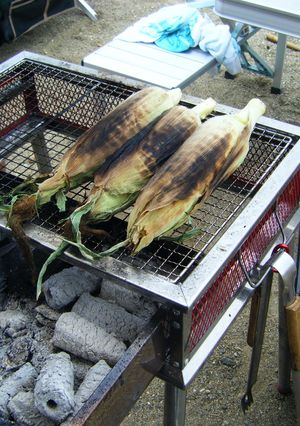 我が家のキャンプ①-レシピのメイン写真