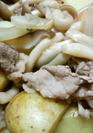 出汁たっぷり肉じゃが-レシピのメイン写真