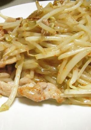 簡単！もやしと豚肉のシンプルな炒め物♪-レシピのメイン写真