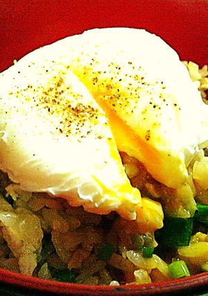 新食感⁉ポーチドエッグで親子丼♪-レシピのメイン写真