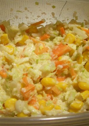 簡単余り野菜のコールスローサラダ-レシピのメイン写真