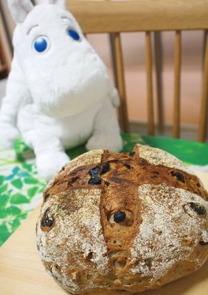 胡桃とレーズンのカンパーニュ-レシピのメイン写真