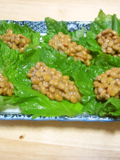 青シソの納豆包み-レシピのメイン写真