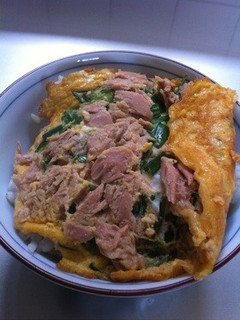 ネギとツナの卵焼き-レシピのメイン写真