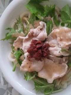 夏の一人ランチにサラダうどん-レシピのメイン写真