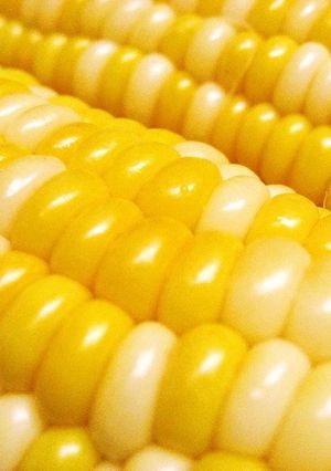 粒プリプリ♪トウモロコシの美味しい茹で方-レシピのメイン写真