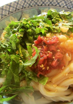 梅と青シソのサッパリうどん-レシピのメイン写真