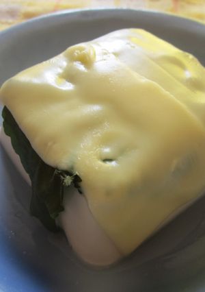 豆腐と青シソのピザ風-レシピのメイン写真