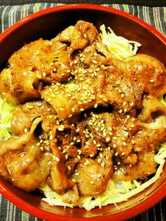 ランチに*簡単・鰻のタレで*豚丼*-レシピのメイン写真