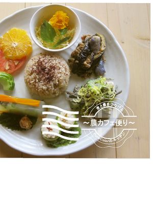 農カフェ便り～そうめんカボチャ～-レシピのメイン写真