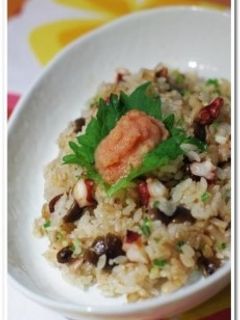 タコ・ガーリック炒飯-レシピのメイン写真