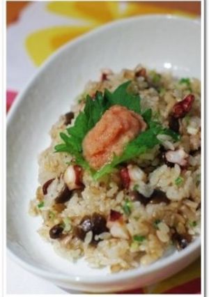 タコ・ガーリック炒飯-レシピのメイン写真