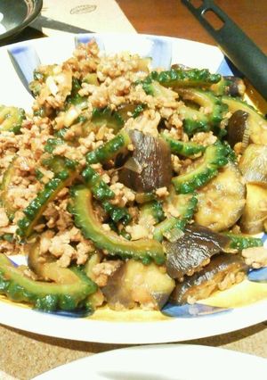 麻婆なす＆ゴーヤ-レシピのメイン写真
