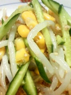 もやしの冷やし中華風-レシピのメイン写真