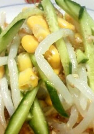 もやしの冷やし中華風-レシピのメイン写真