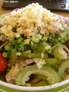ルクエで簡単!サッパリ豚しゃぶ丼-レシピのメイン写真
