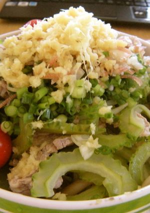 ルクエで簡単！サッパリ豚しゃぶ丼-レシピのメイン写真
