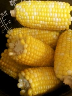 炊飯器で蒸しとうもろこし☆-レシピのメイン写真