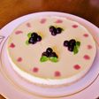 簡単とろけるレアチーズケーキ