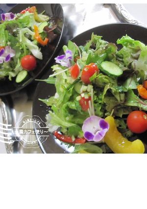 農カフェ便り～お野菜ドレッシング-レシピのメイン写真