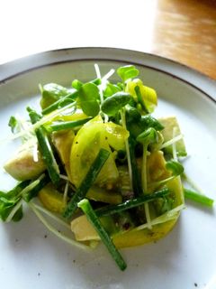 アボカドと香菜のサラダ-レシピのメイン写真