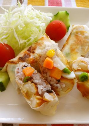 十六穀ごはんで春巻き-レシピのメイン写真