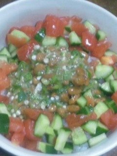 簡単 夏野菜丼-レシピのメイン写真