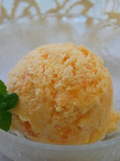 柿アイスクリーム-レシピのメイン写真