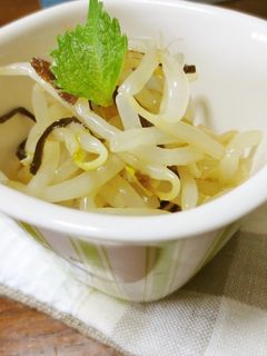 もやしの塩こんぶ和え-レシピのメイン写真