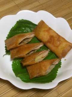ハムチーズ春巻-レシピのメイン写真
