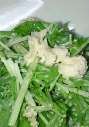 塩麹わさびマヨ味！ささみと水菜サラダ-レシピのメイン写真