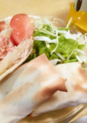 揚げない春巻き　＊梅ささみ＆ツナポテ＊-レシピのメイン写真