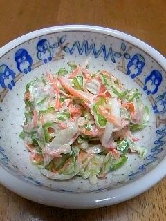 オクラのねばねばサラダ-レシピのメイン写真