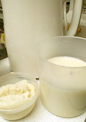 九陽　豆乳メーカーで基本の豆乳とおから-レシピのメイン写真