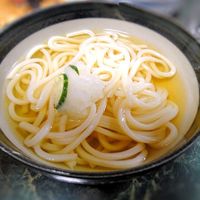 基本からアレンジまで！思わずつくりたくなる「ひやし うどん」の