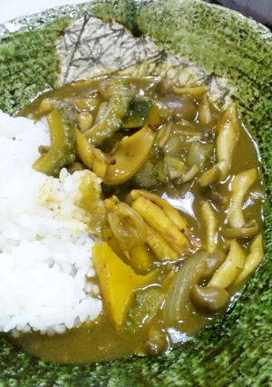 イカとゴーヤと南瓜のカレー-レシピのメイン写真