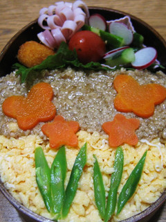 さっとお弁当にも!鶏そぼろ丼-レシピのメイン写真