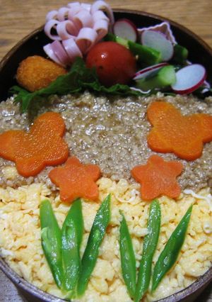 さっとお弁当にも！鶏そぼろ丼-レシピのメイン写真